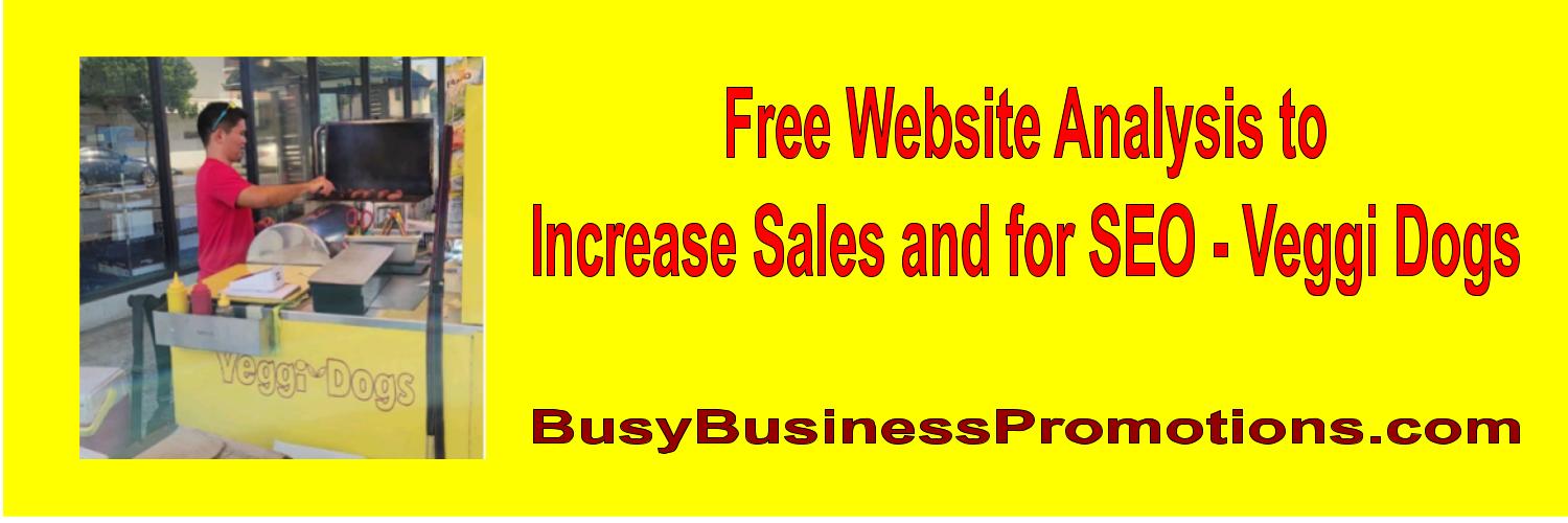 Banner Free Website Analysis to Increase Sales and for SEO Veggi Dogs